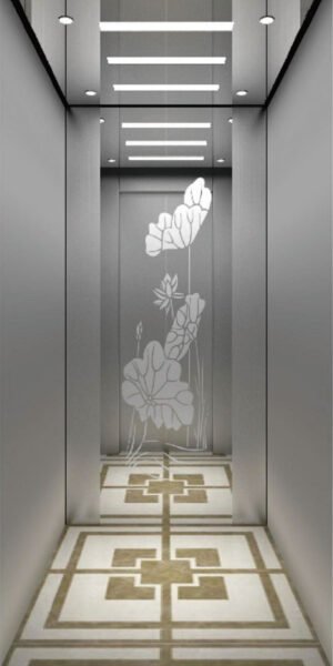 Villa Elevator QN-006